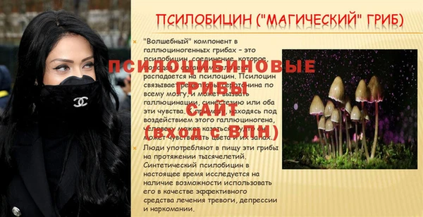 бутик Бородино