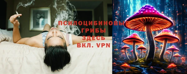 ALPHA-PVP Снежинск